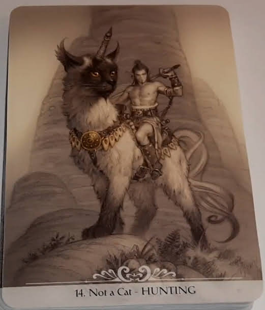Barbieri Unicorns Oracle